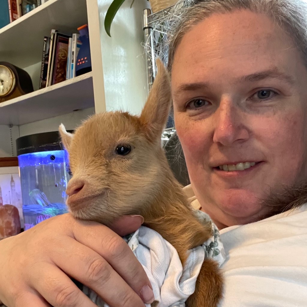 Rachael Snow, the artist behind Dark Moon Paper, holding a newborn Golden Guernsey goat who is wrapped up in a baby blanket.